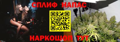 шишки Гусь-Хрустальный