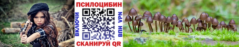 что такое   Можга  Псилоцибиновые грибы MAGIC MUSHROOMS 