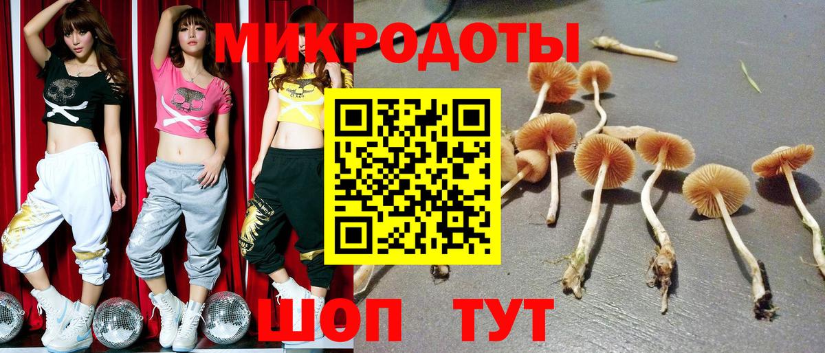 Галлюциногенные грибы Cubensis Можга