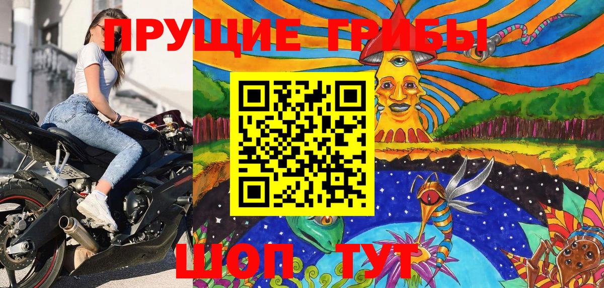 Можга  Галлюциногенные грибы MAGIC MUSHROOMS  Вход с VPN 