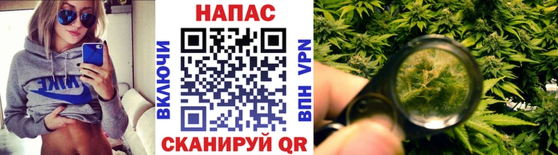 Бошки марихуана Ganja  Можга 